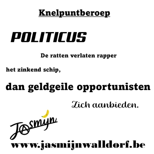 Knelpuntberoep: POLITICUS